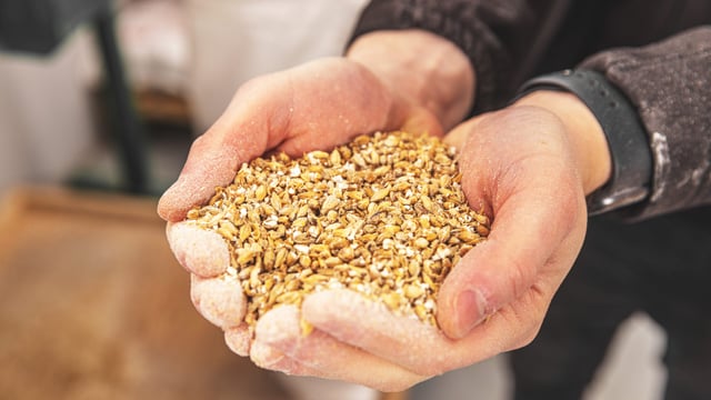 Farm orgs respond to harvest 2024 grain price offerings