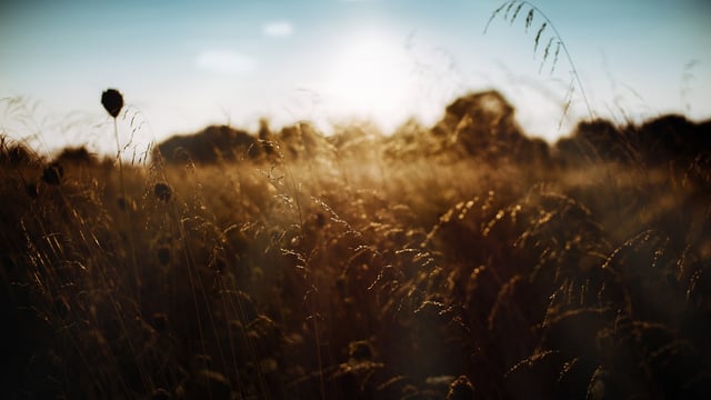 Environmentalists want increased funding for nature restoration