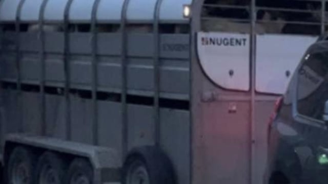 PSNI: Cattle trailer stolen from farmyard in Co. Tyrone
