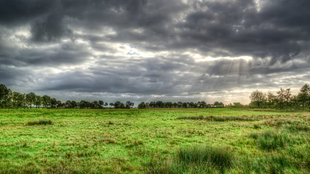 Over 200 farmers send 'enough is enough' message from Wexford meeting