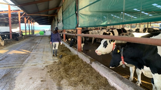 EU Commission changes rule on agricultural aid