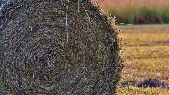 ESB Networks Summer Safety Series: Electrical safety tips on farm