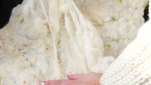 Why has the price of wool changed over time?