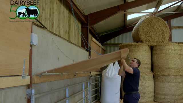 Watch: Advice for farmers on setting up calf-rearing sheds