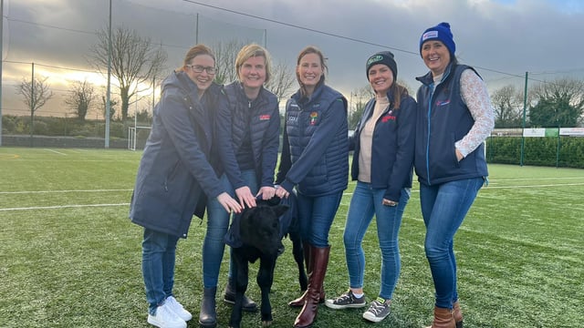 'Donate a calf' appeal for Rathgormack fundraiser