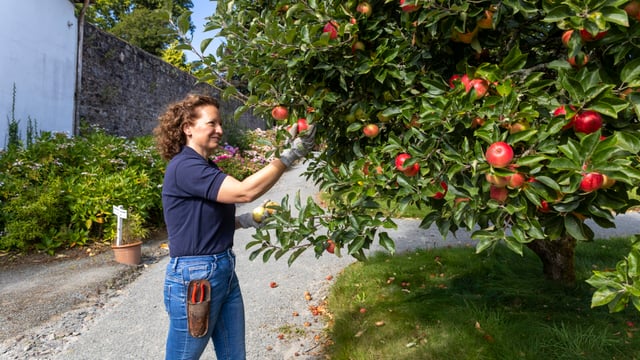 Mount Congreve School of Horticulture hosts open day