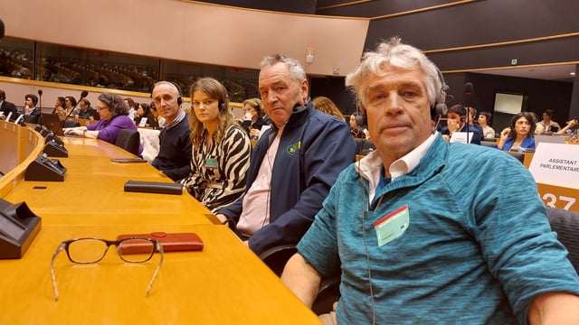 Irish MEPS urged to support IED amendment