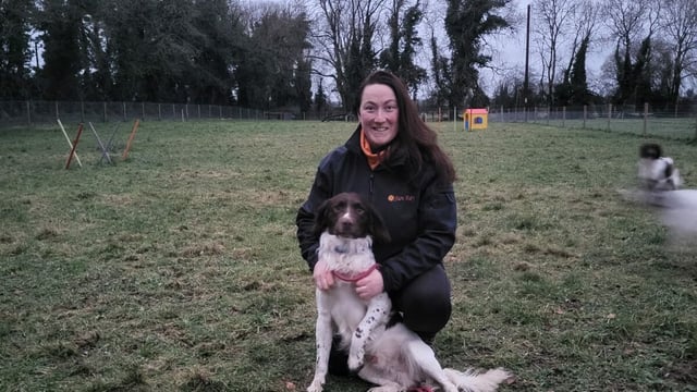 Westmeath couple undergo farm diversification with canine twist