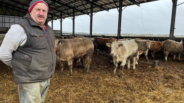 Watch: Deane questions IFA silence on suckler-farming exodus
