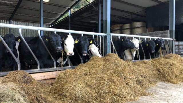Have beef prices peaked or is there more to come this year?