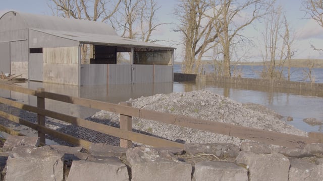 Video: Farmers' heartbreak over flooding at Lough Funshinagh