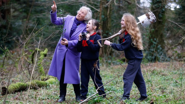 Coillte launches photo competition ahead of National Tree Week