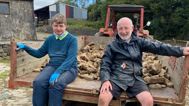Demand far exceeding supply for Kerry social farming project