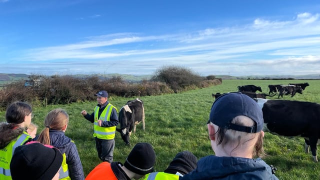 West Cork families provide farming workshops to school kids