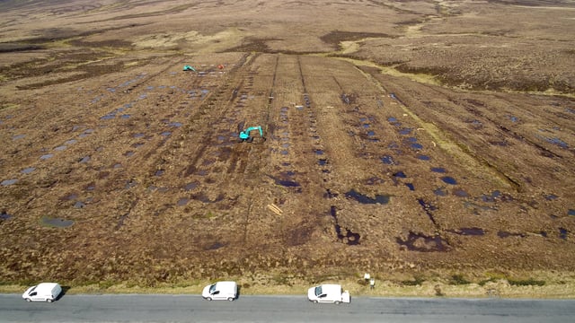 €600k peatlands restoration project launched in Wicklow