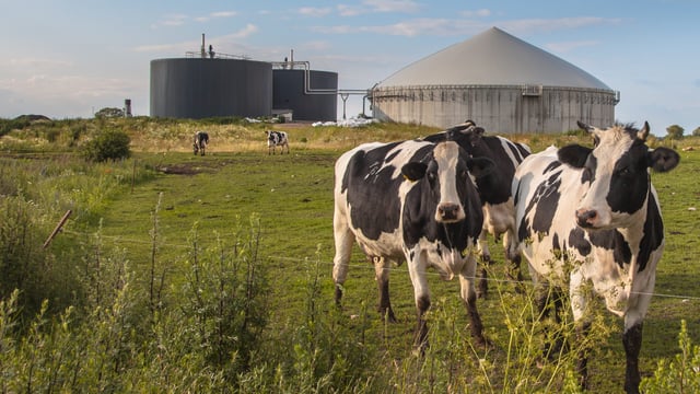 Biomethane supplier opens Tipperary facility