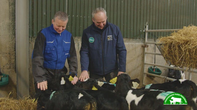 Progressive Farm Program: Breeding a functional cow in Kildare