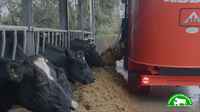 Progressive Farm Program: Breeding a robust cow for Meath autumn-calving herd