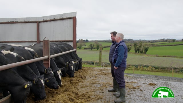Progressive Farm Program: Achieving 605kg of milk solids in Louth dairy herd