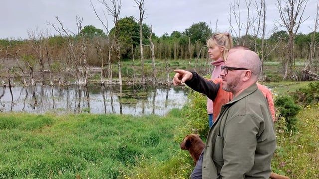 EU to engage with NPWS over flooding at Lough Funshinagh