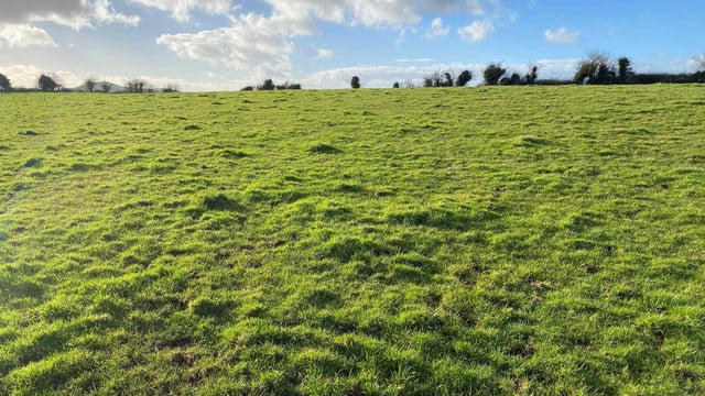 32ac of 'excellent quality land' in Croom for auction