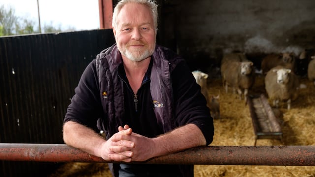 NI farmers join 7-year M&S net zero initiative