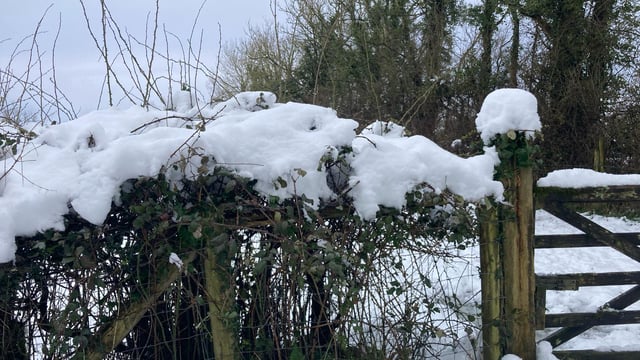 Weather warnings upgraded to Status Orange in places
