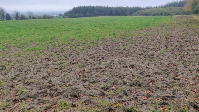 Spring grazing unworkable on many farms as rain persists