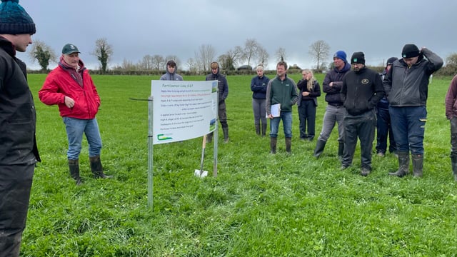 Red clover silage schemes and savings available to farms