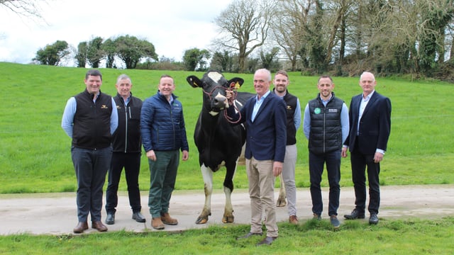 New market for 5,000 pedigree heifers in North Africa
