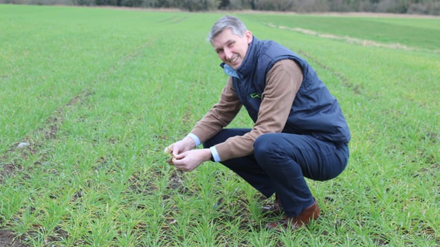Spring planting conditions see dramatic improvement