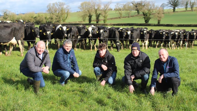 Focus: Improving feed self-sufficiency on 2 Munster dairy farms