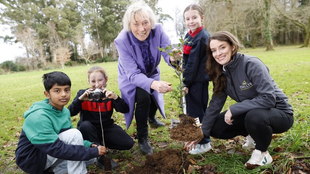 National Tree Week highlights importance of planting more trees
