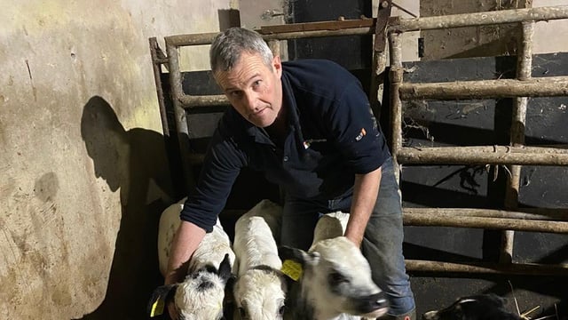 Priest urges Kerry farmer to keep surprise triplet bull calves