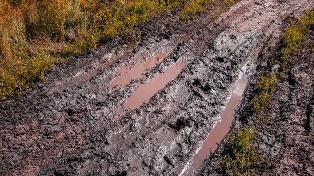 McConalogue urged to respond to 'worsening soil conditions'