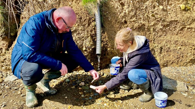 Lower nitrates discharges celebrated at Bannow Bay