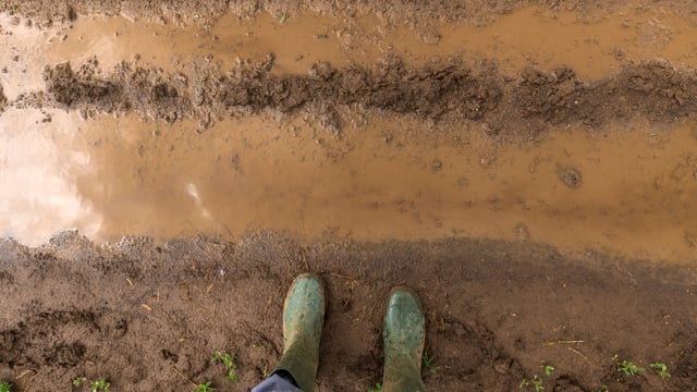 Met Éireann issues Status Orange rainfall warning for Waterford
