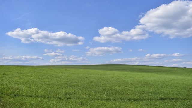 Cash buyers 'dominated' land sales in 2023 - property group