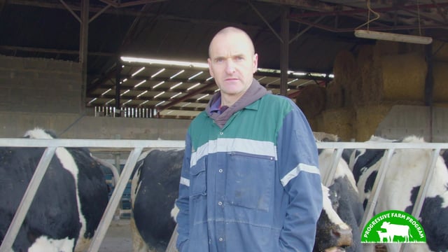 Combining pedigree breeding and EBI in Meath | Progressive Farm Program