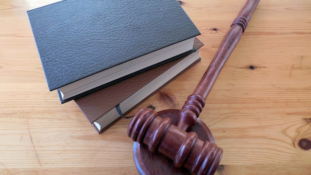 An Taisce welcomes High Court's 'rigour' in nitrates case