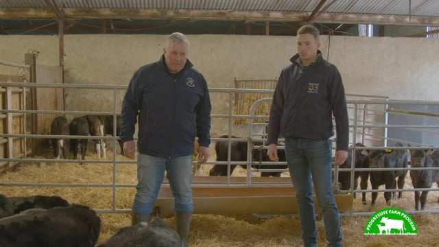 Progressive Farm Program: Huge genetic gains on dairy-beef enterprise