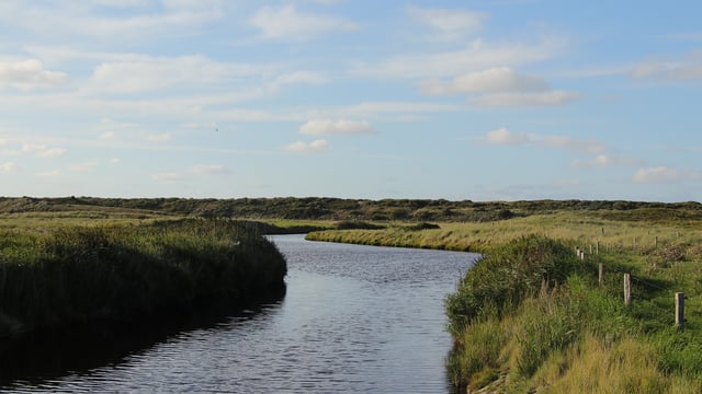 New Water Action Plan to see 'enhanced inspection' for agriculture