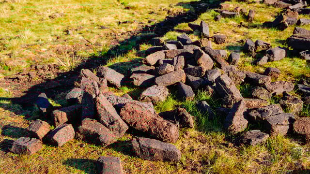 EU turf cutting case could 'unravel years of work' - MEP