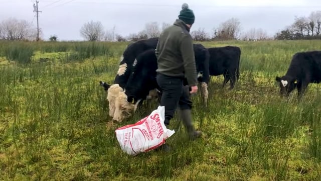 What 4 counties have the highest amount of liver fluke cases?