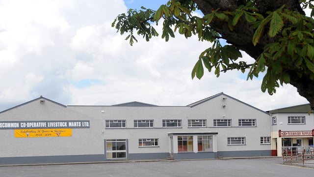 Roscommon Mart says no change to sales amid exporter threat