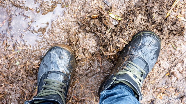 Commission clarifies support for farmers during extreme weather events
