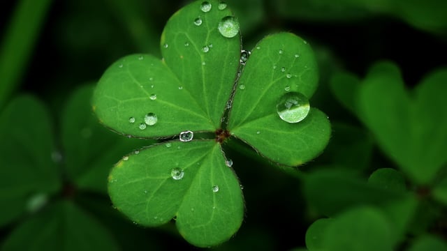 Met Éireann: Mixed conditions for St. Patrick's weekend