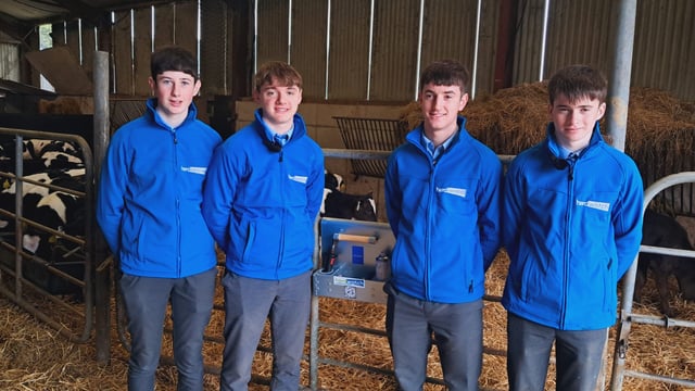 TY students create equipment for safer dehorning practice