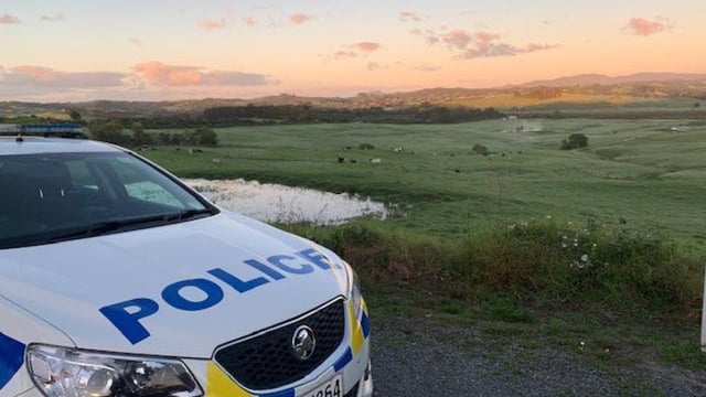 New Zealand police shoot ram after man and woman found dead