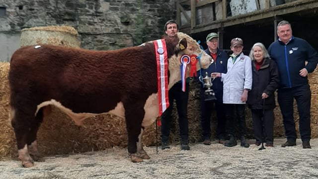 Ballydehob-bred bull takes top title at Bandon Hereford sale